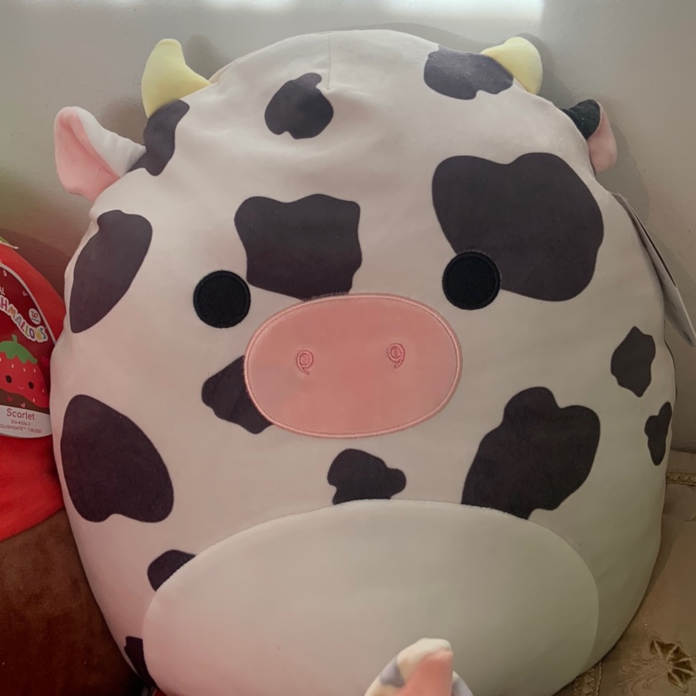 Squishmallow Colin